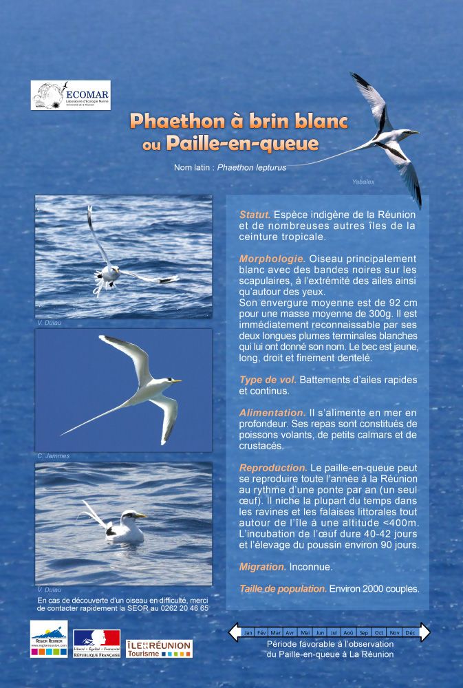 Fiches pédagogiques Globice